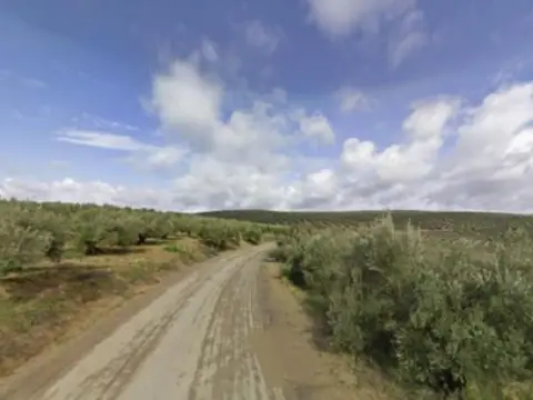 Finca rústica en calle Polígono, nº 6